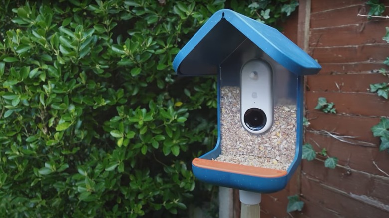 Bird Buddy smart bird feeder