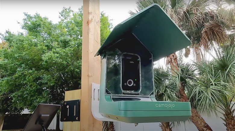 Camojojo smart bird feeder