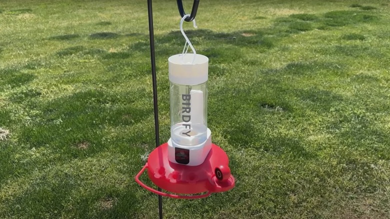 Birdfy smart hummingbird feeder