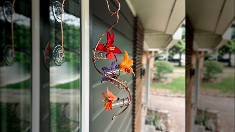 hummingbird on a helix feeder