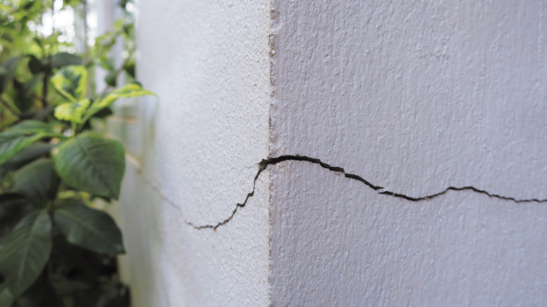 crack in home wall