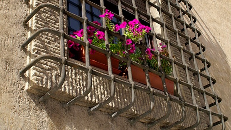 bars covering window of home