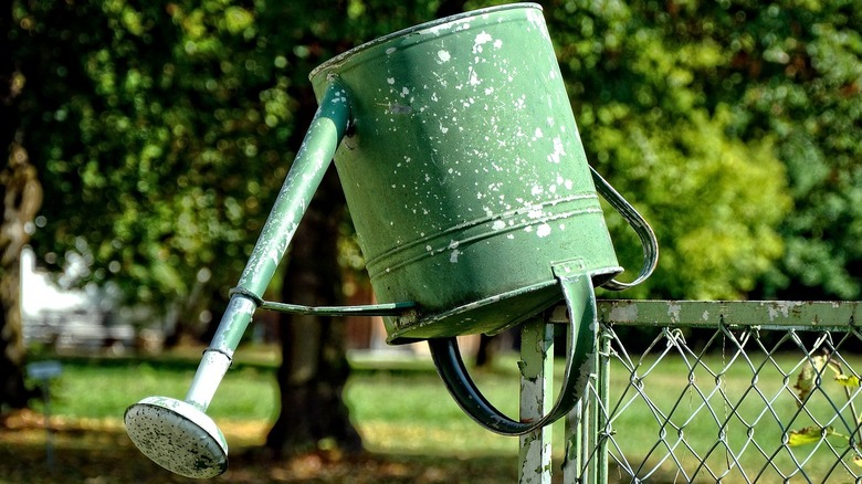 upside-down metal watering can