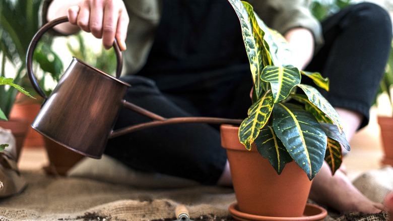 mini copper watering can