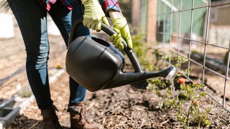 woman with outdoor plastic watering can