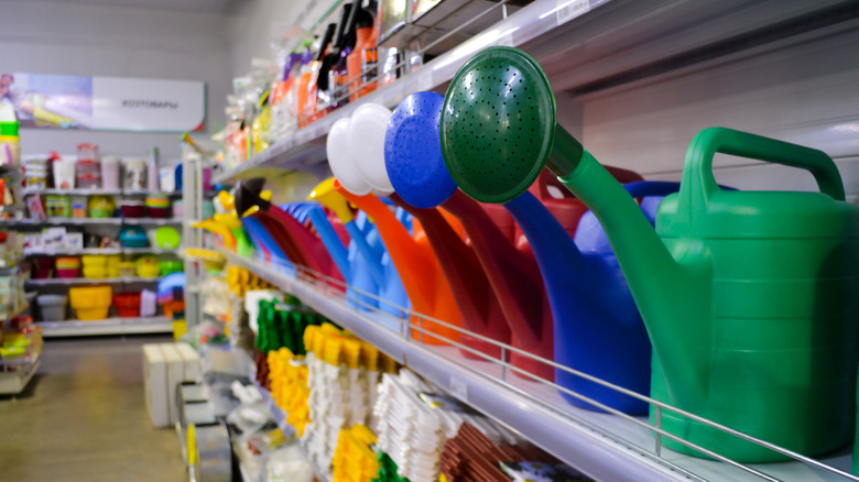 watering can collection in store