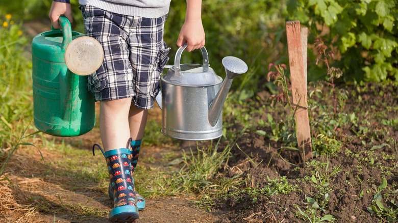 child carrying two watering can