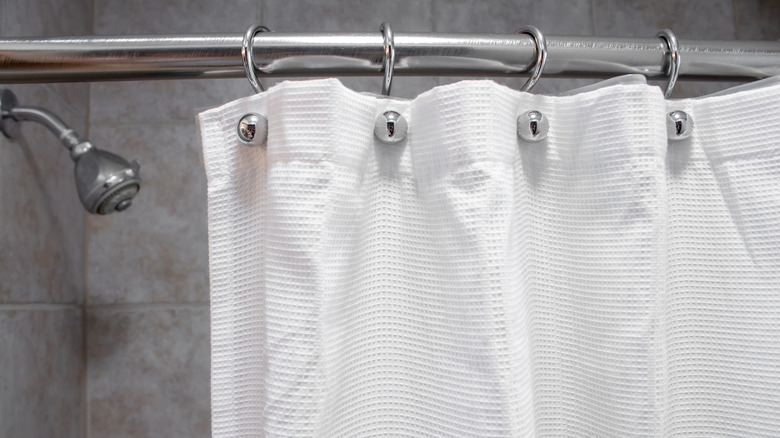 shower curtain