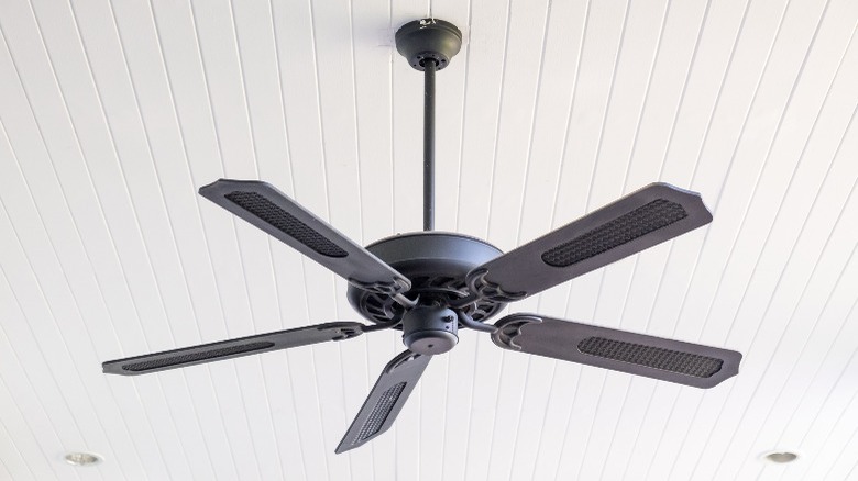 black ceiling fan white ceiling