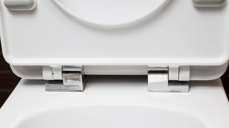 Closeup of toilet seat hinges