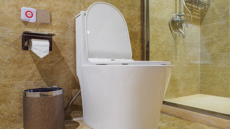 Easy-to-clean skirted toilet design