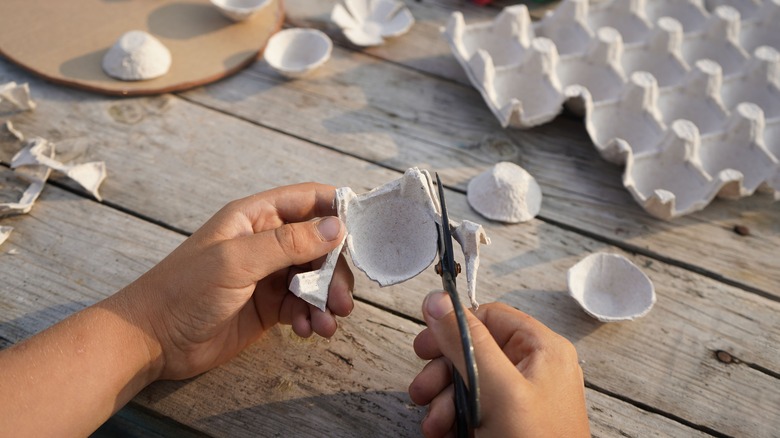 person cutting egg carton