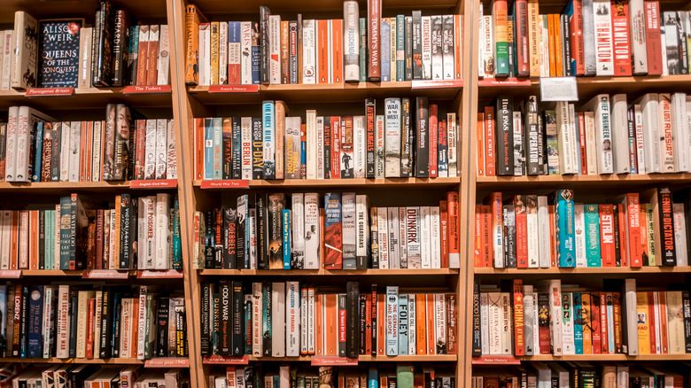 shelves filled with books