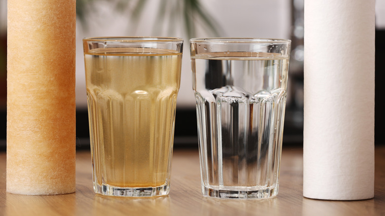 Dirty and filtered water comparison