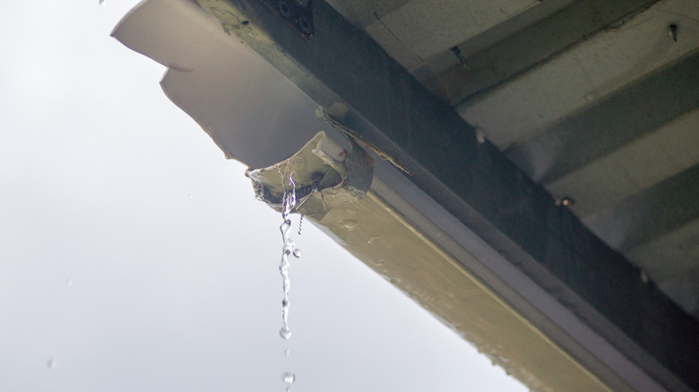 Cracked and leaking gutter dripping water