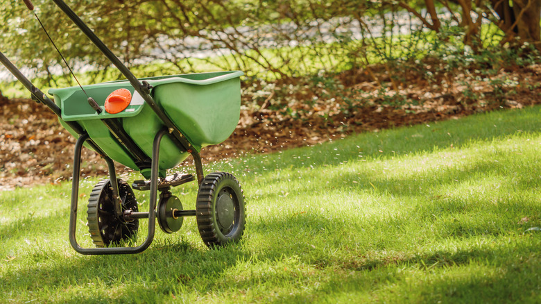 fertilizer spreader on lawn