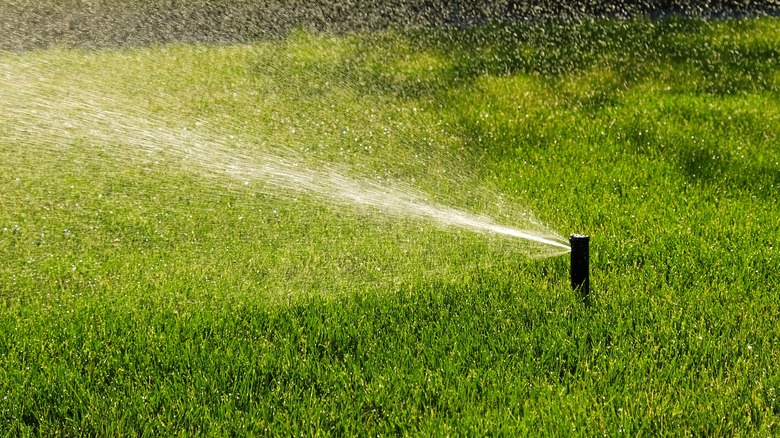 sprinkler on lawn