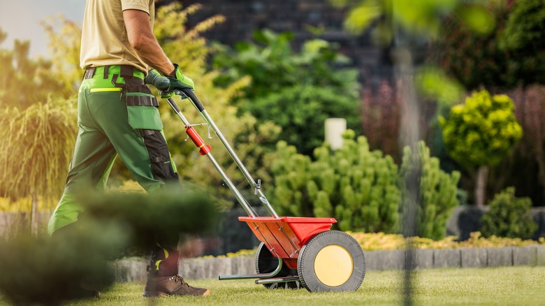 fertilizer spreader on lawn