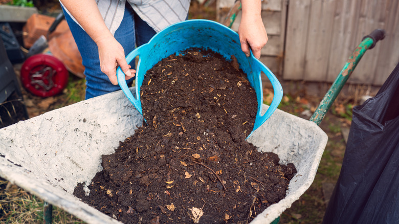 pouring garden soil