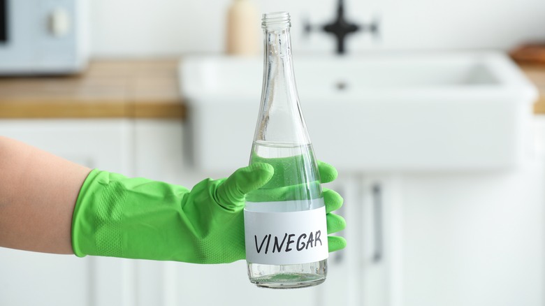 hand holding bottle of vinegar