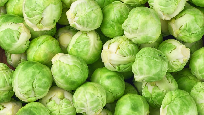 Brussels sprouts up close together