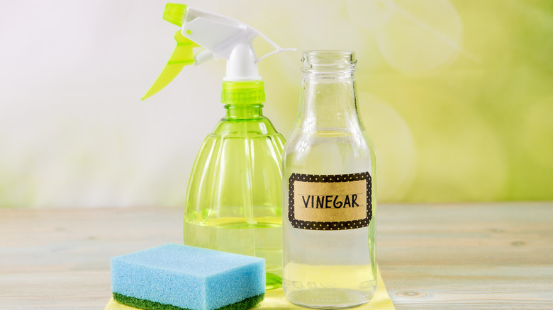 Vinegar and spray bottle 