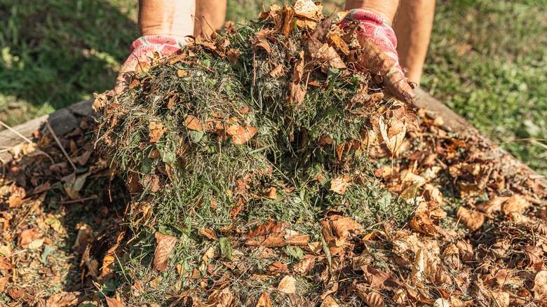 Leaf mulch on grass