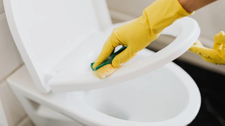 person cleaning toilet seat