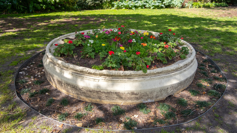 A round concrete flower bed with flowers under the shade of a tree