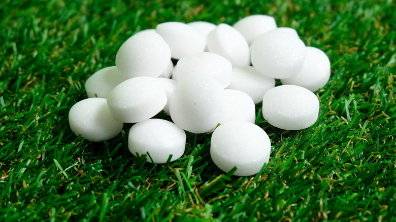 mothballs on grass