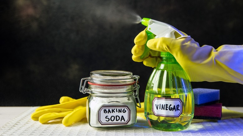 Spray vinegar