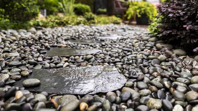 close up gravel garden path