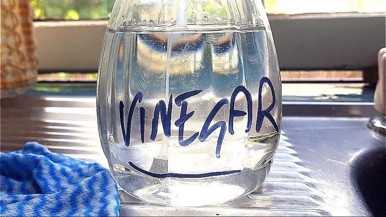 Word vinegar written on bottle