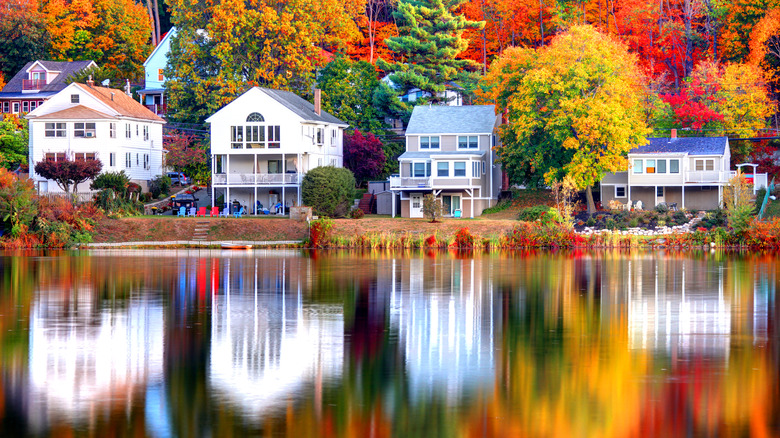 houses in fall foliage 