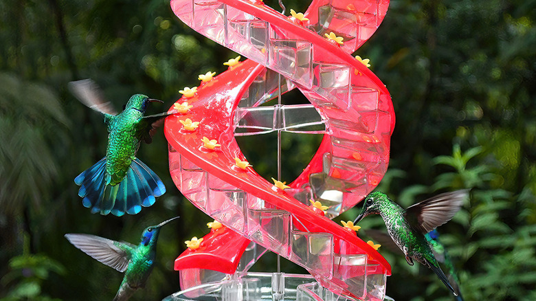 four shots of DNA birdfeeder