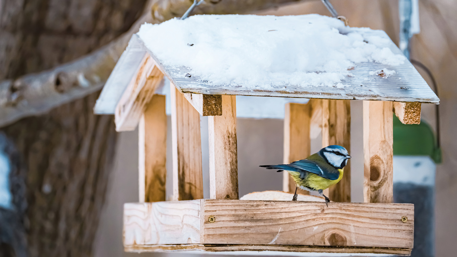 This Chandelier Hack Will Have Colorful Birds Flocking To Your Yard In ...