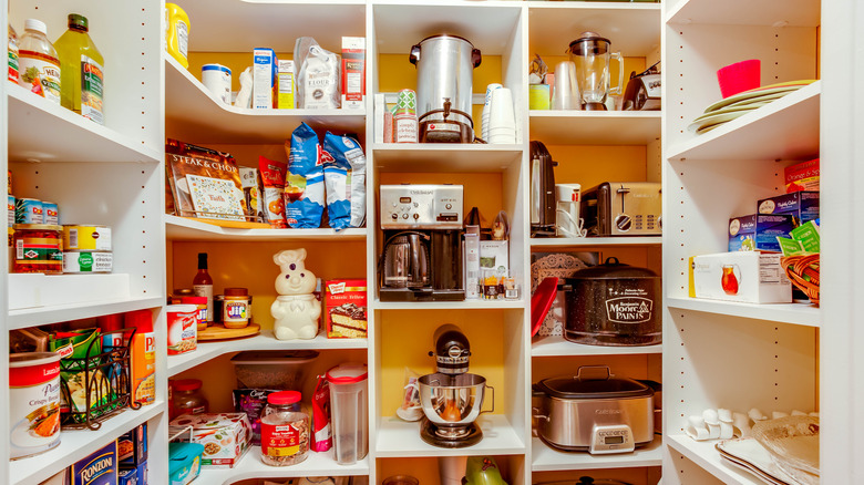 organized, well-stocked pantry