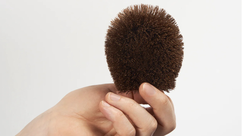 Person holding Kamenoko Tawashi Scrubber