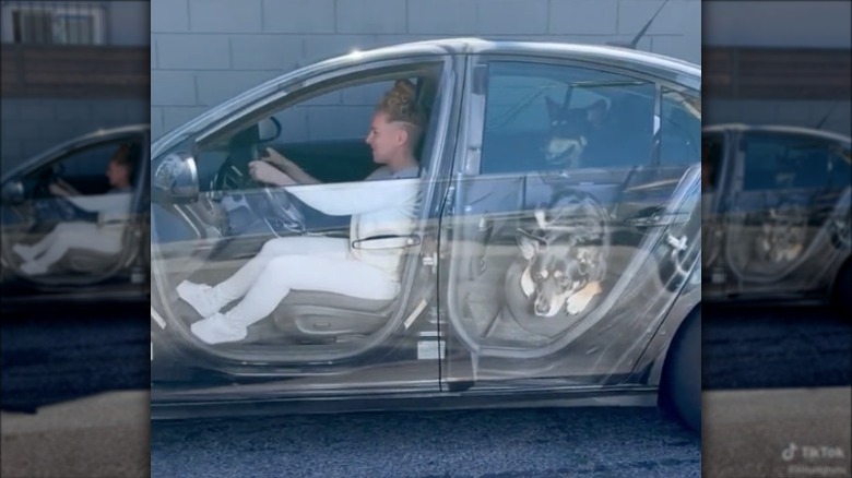 custom wrapped transparent car