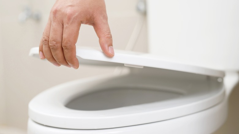 hand grabbing plastic toilet seat