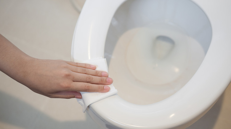 person cleaning toilet seat