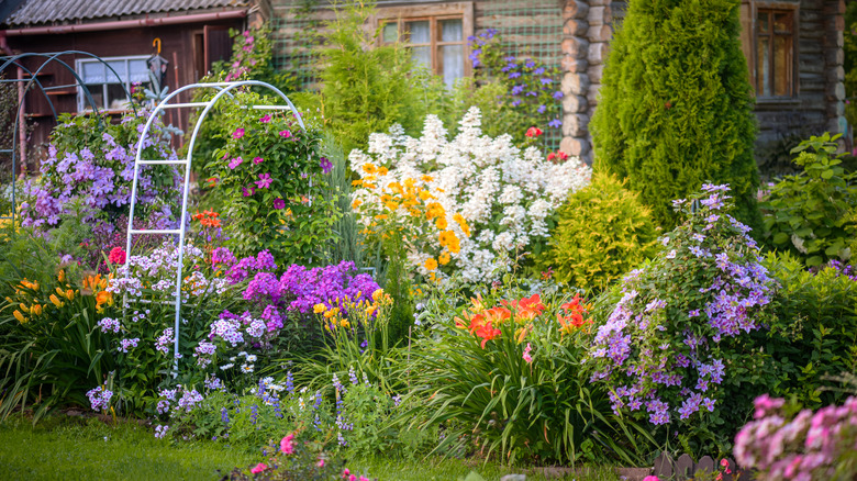 garden with various flower varieties
