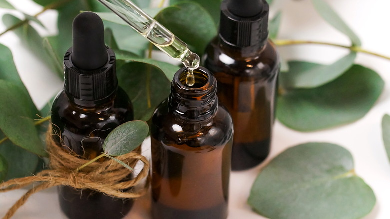 Three bottles of eucalyptus oil