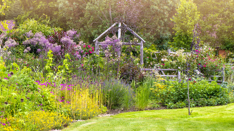 backyard flower garden