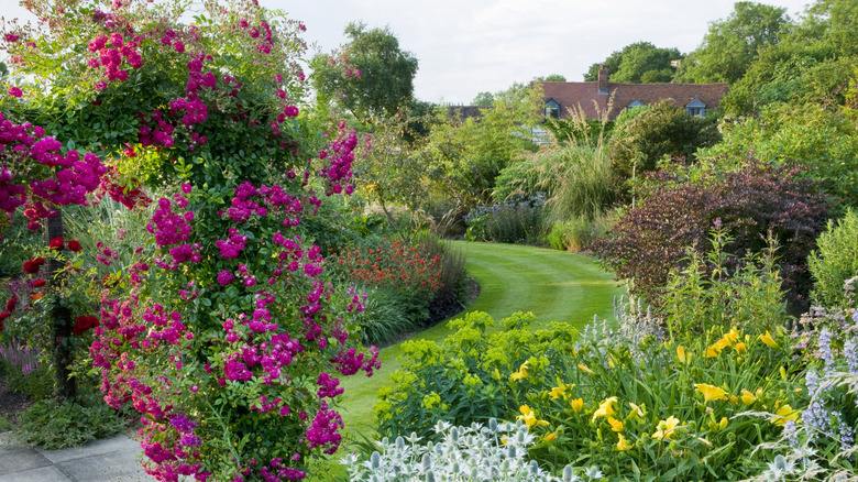 colorful perennial border