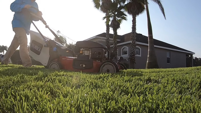 Person mowing zoysiagrass