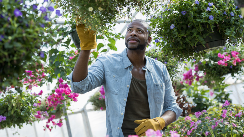 man touching flowers