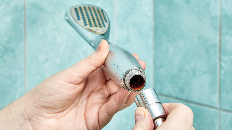 person removing shower head