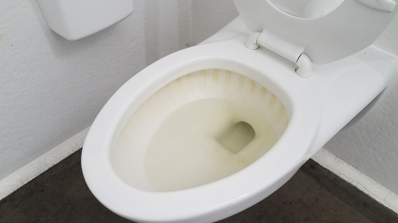 dirty toilet bowl
