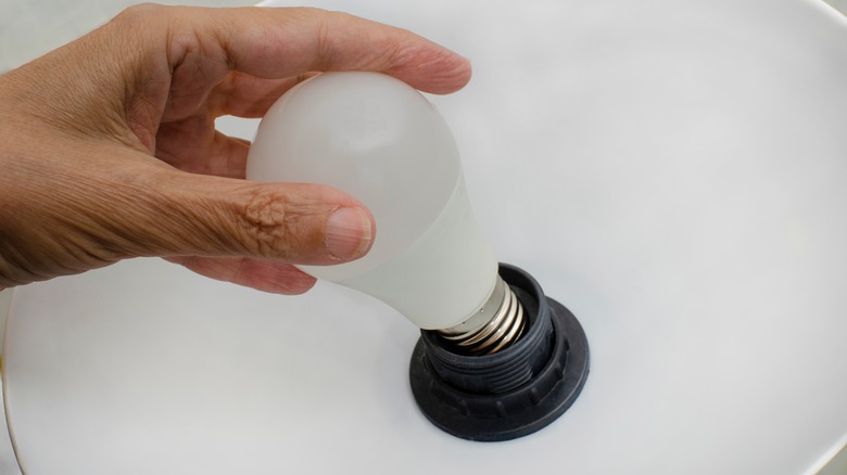 Person screwing in lightbulb